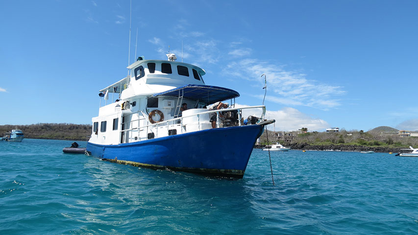 King of the Seas